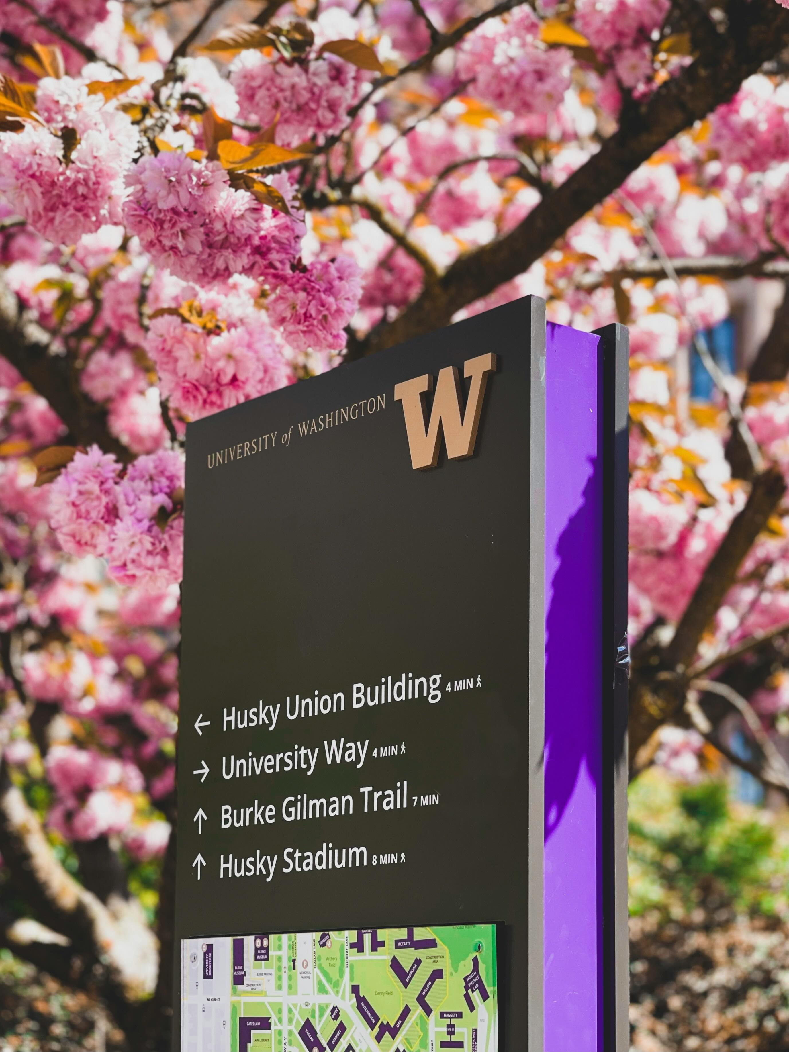 UW Sign